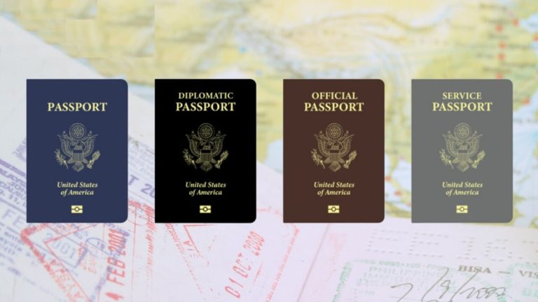 What is the meaning of type in passport?