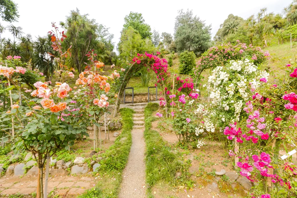 باغ گیاه‌شناسی باتومی